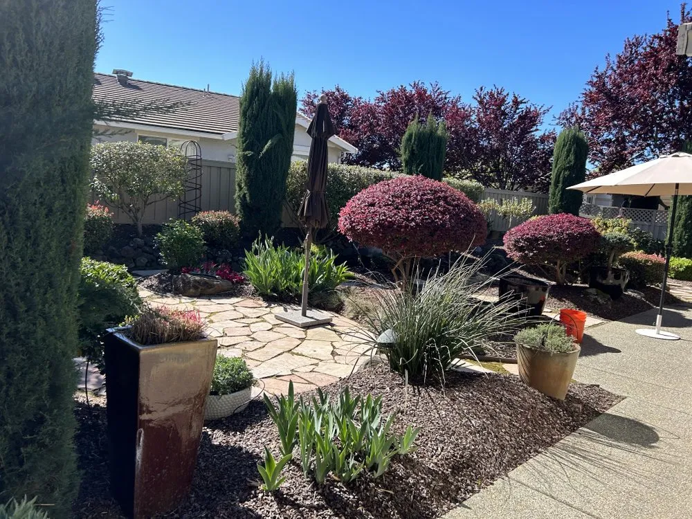 Expert landscaping services with custom design across Sacramento, CA - Montoya Lawn Service