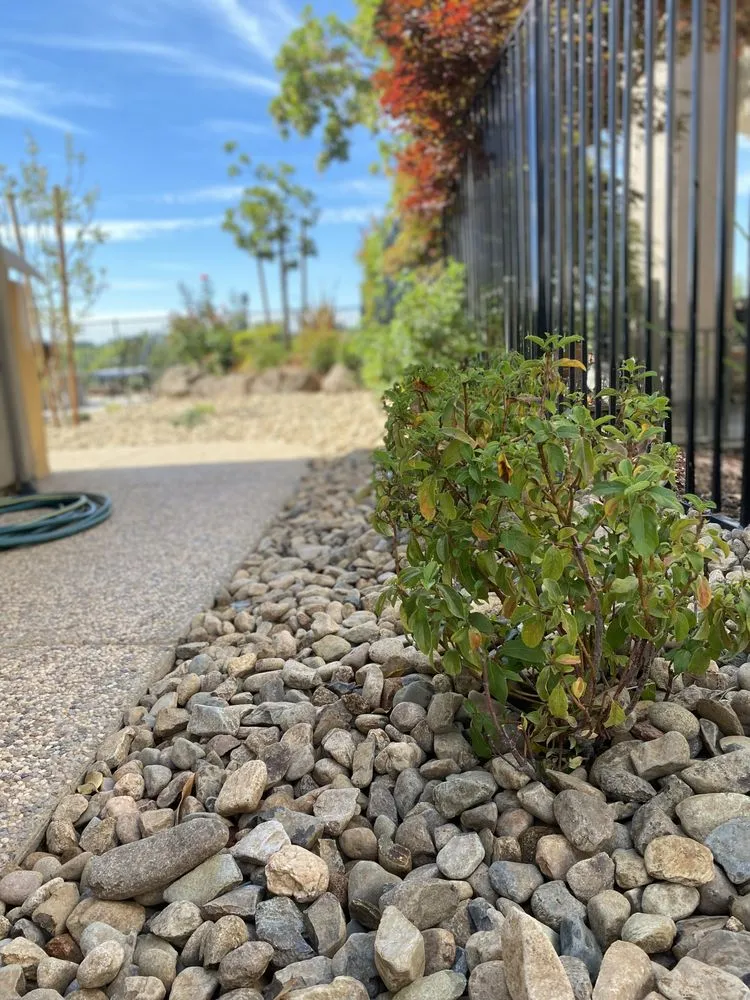 Expert yard maintenance for residential properties across Sacramento, CA - Montoya Lawn Service