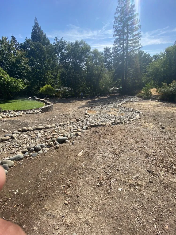 Professional yard cleanup service experts serving Sacramento, CA - Montoya Lawn Service