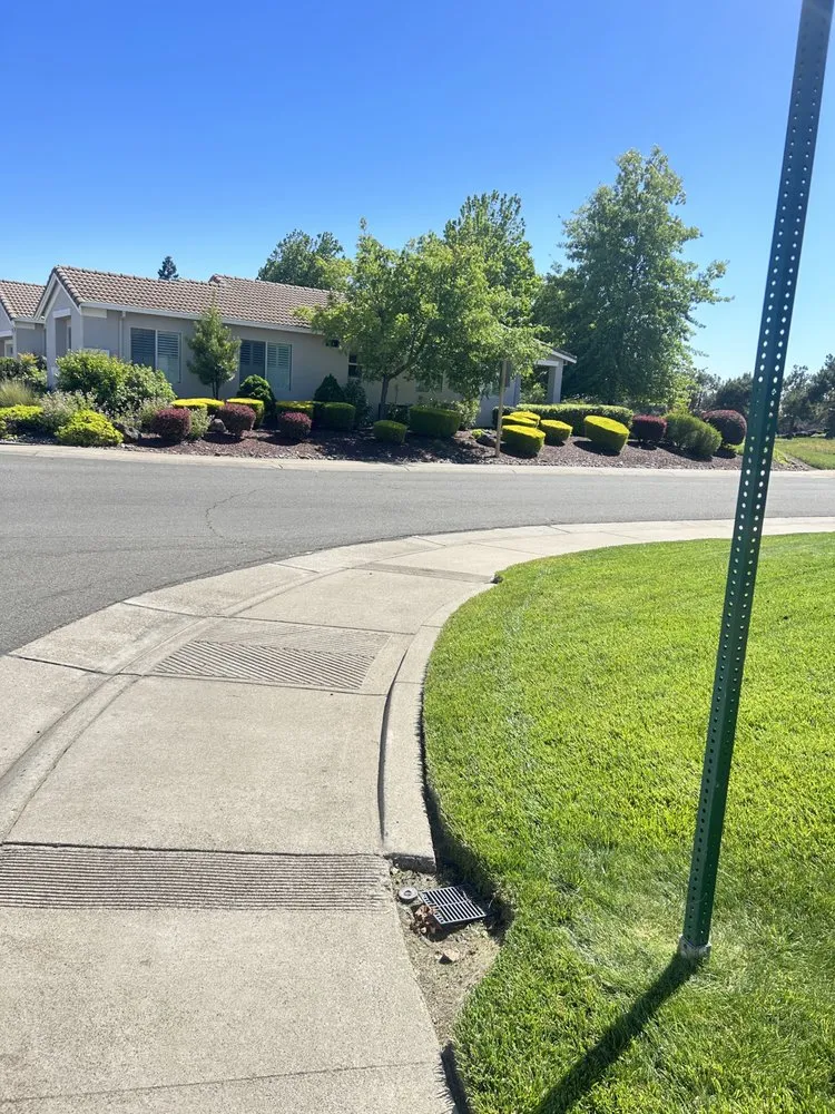 Top-rated residential landscaping near you across Sacramento, CA - Montoya Lawn Service