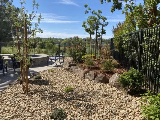 Montoya Lawn Service Logo