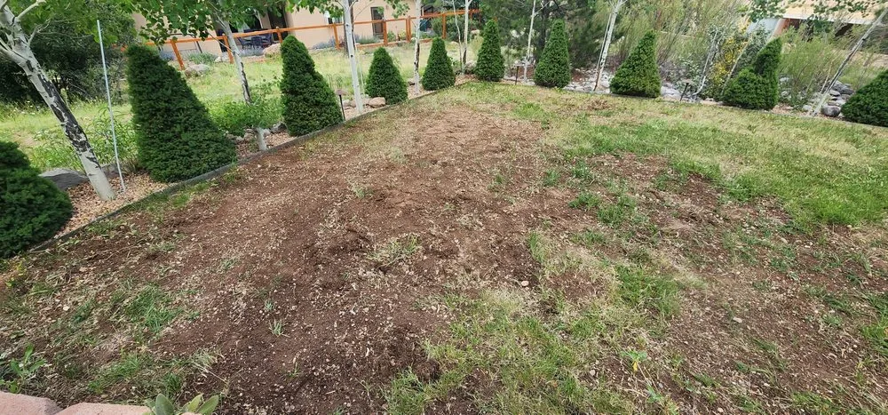 Trusted yard cleanup service in Los Alamos, NM - Montoya Maintenance and landscaping