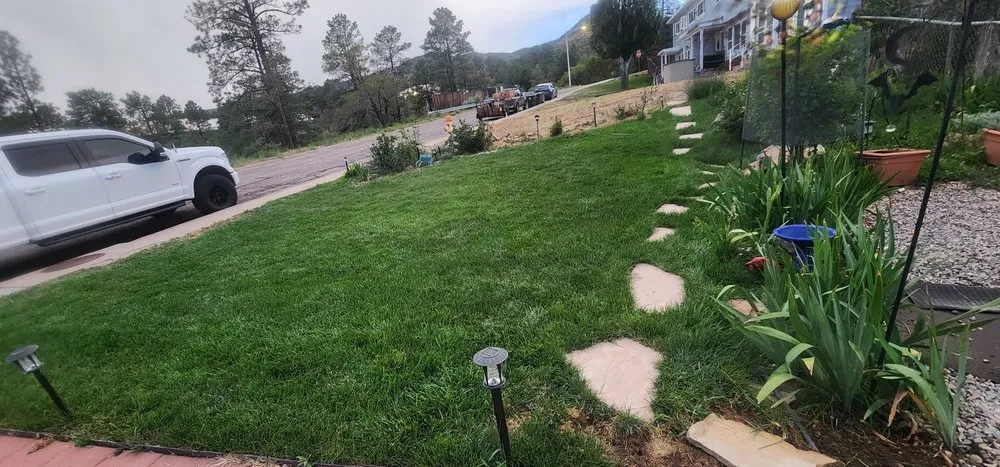 Top-rated lawn care service experts serving Los Alamos, NM - Montoya Maintenance and landscaping