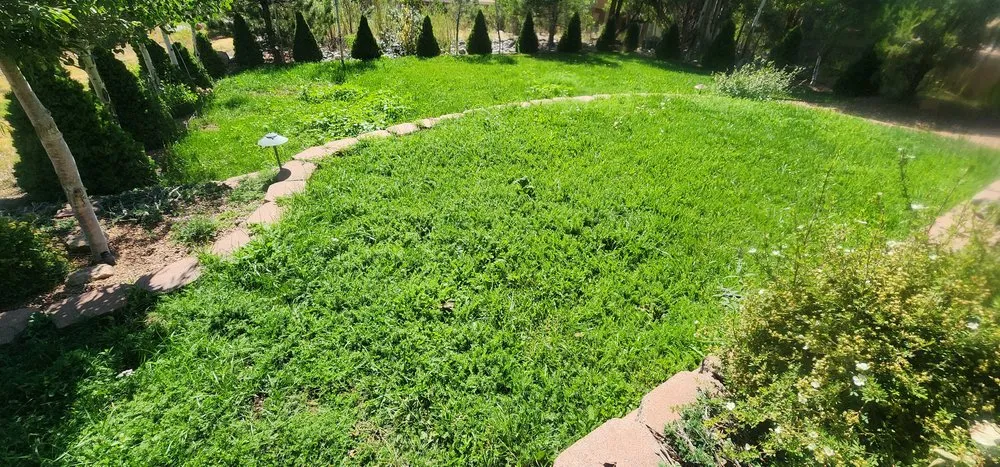 Professional lawn care service in Los Alamos, NM - Montoya Maintenance and landscaping