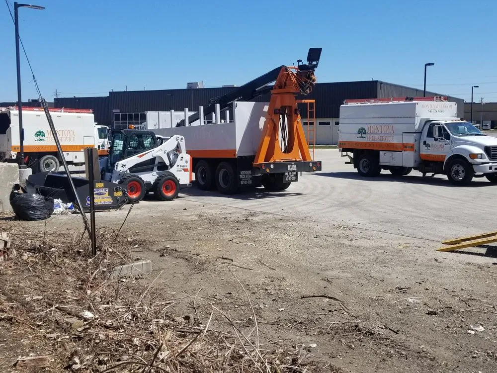 Top-rated yard cleanup service experts serving Glenview, IL - Montoya Tree Service