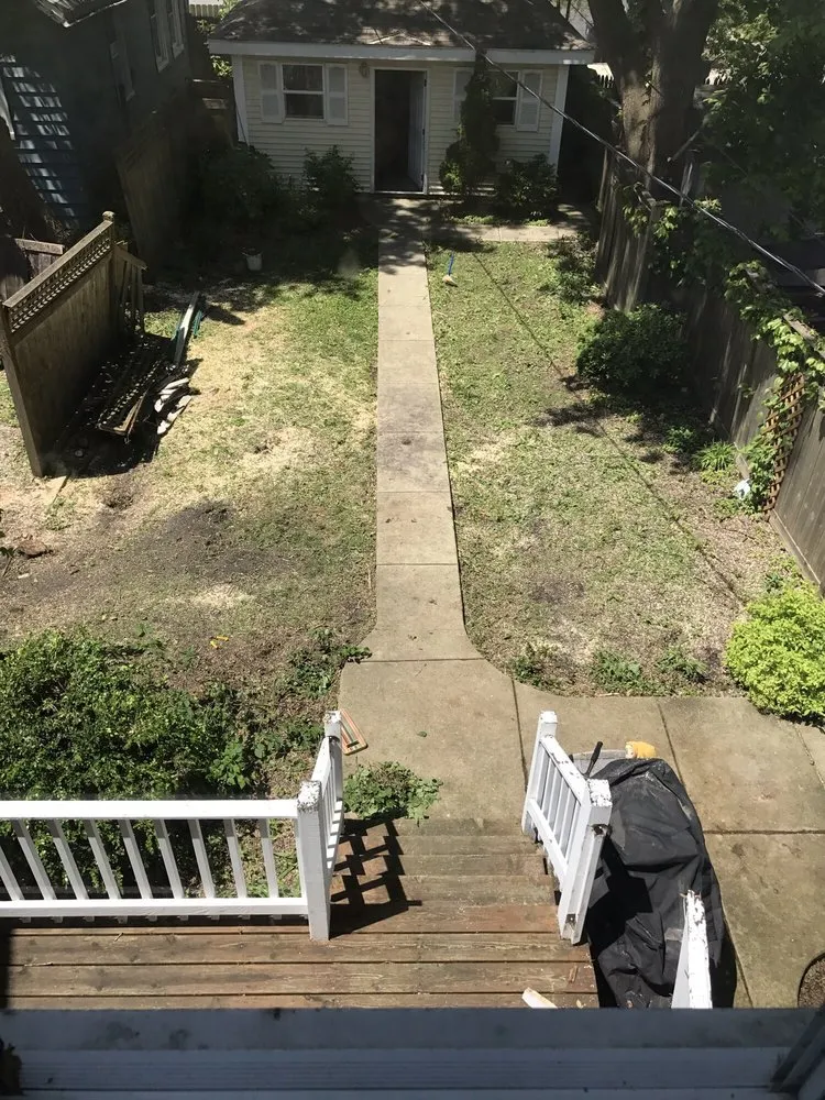 Local yard cleanup service near you across Glenview, IL - Montoya Tree Service