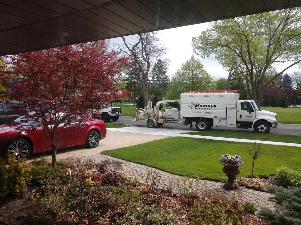 Local landscape installation in Glenview, IL - Montoya Tree Service