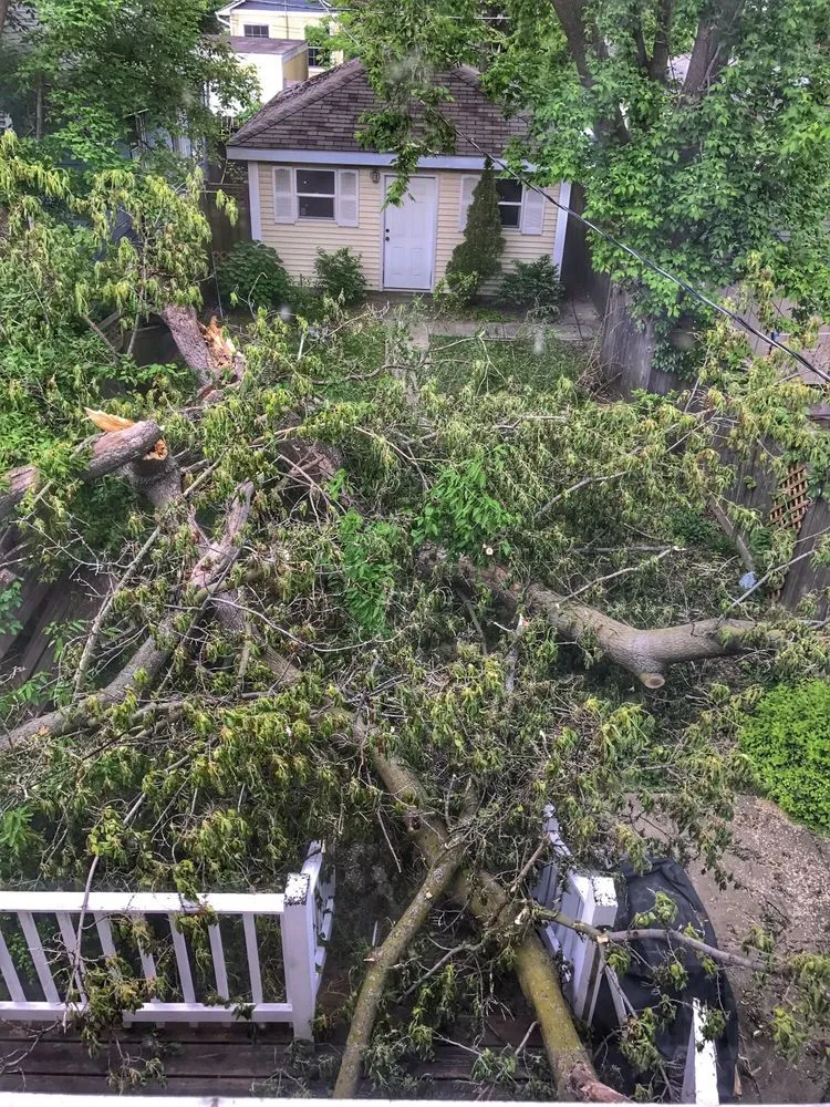 Top-rated residential landscaping experts serving Glenview, IL - Montoya Tree Service