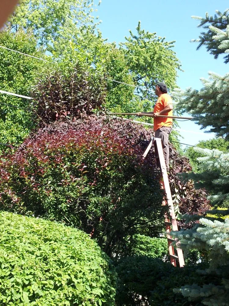 Trusted garden landscaping in Glenview, IL by Montoya Tree Service