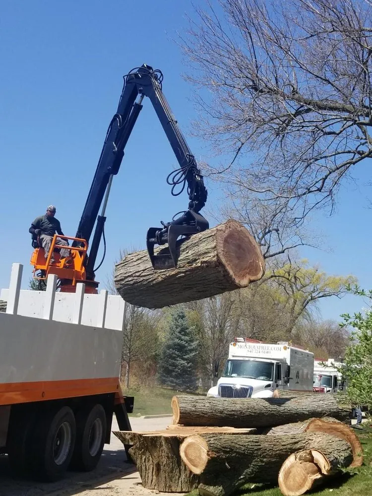 Affordable outdoor landscaping in Glenview, IL by Montoya Tree Service