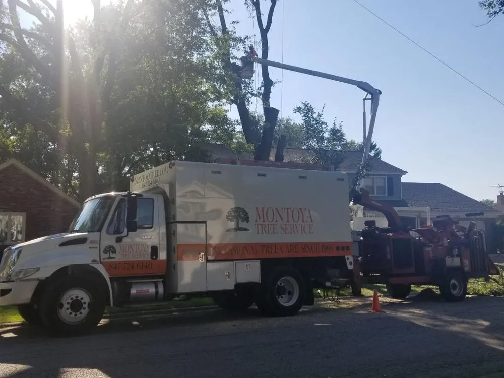 Expert garden landscaping experts serving Glenview, IL - Montoya Tree Service