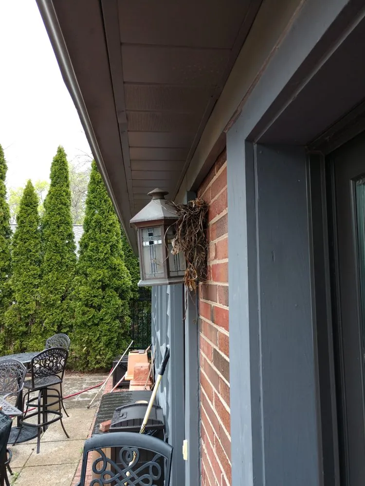 Affordable lawn mowing service for residential properties in Glenview, IL by Montoya Tree Service