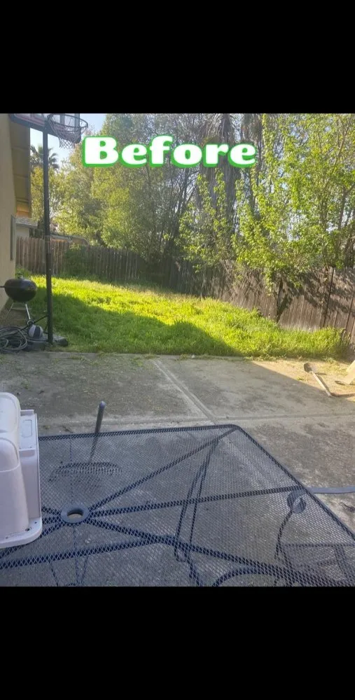 Reliable landscape design near you across Sacramento, CA - Montoya's Gardening