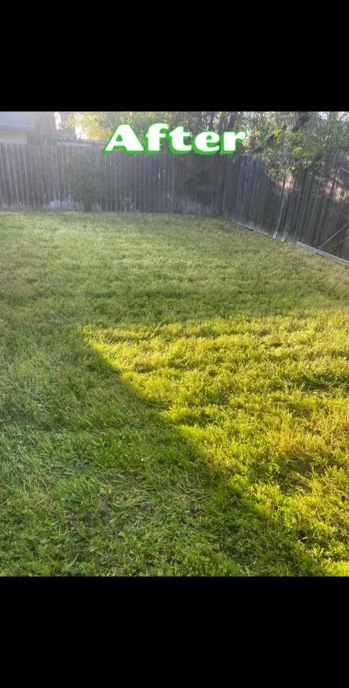 Professional garden landscaping in Sacramento, CA by Montoya's Gardening