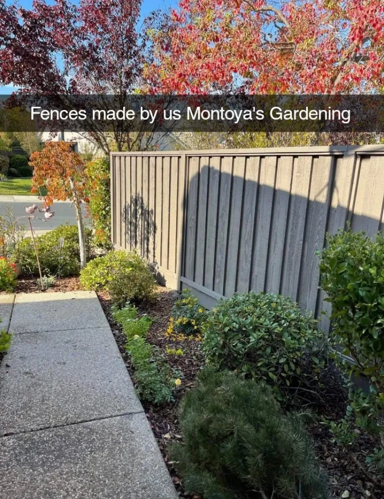 Custom lawn mowing service with custom design in Sacramento, CA by Montoya's Gardening