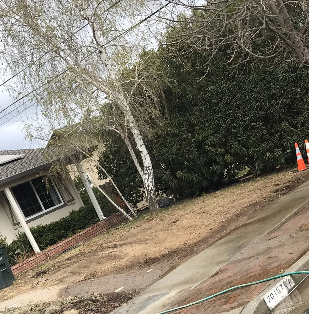 Affordable lawn mowing service with custom design in San Jose, CA by Montoyas Hauling and Landscape