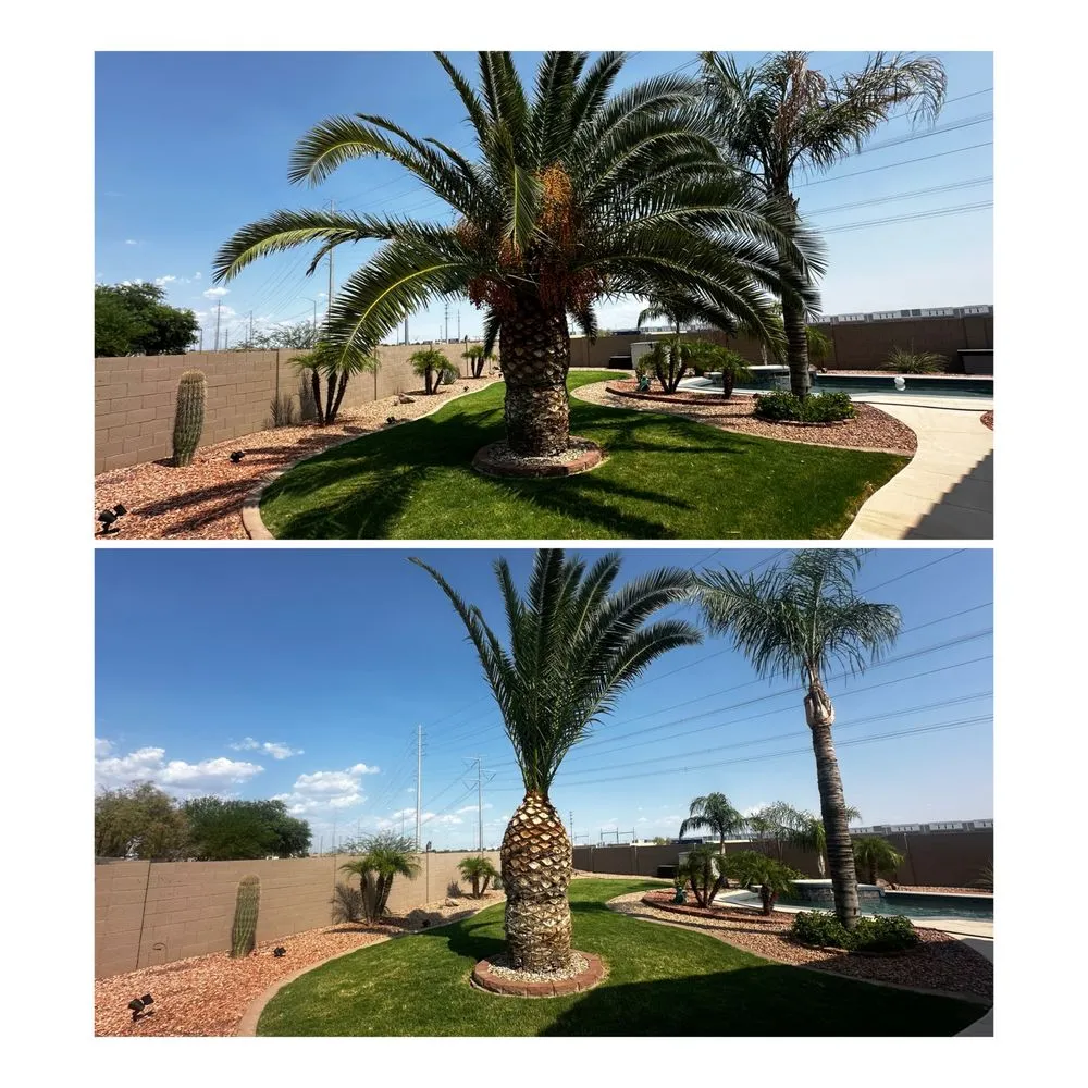 Reliable lawn care service in Apache Junction, AZ - Montoya's Landscaping