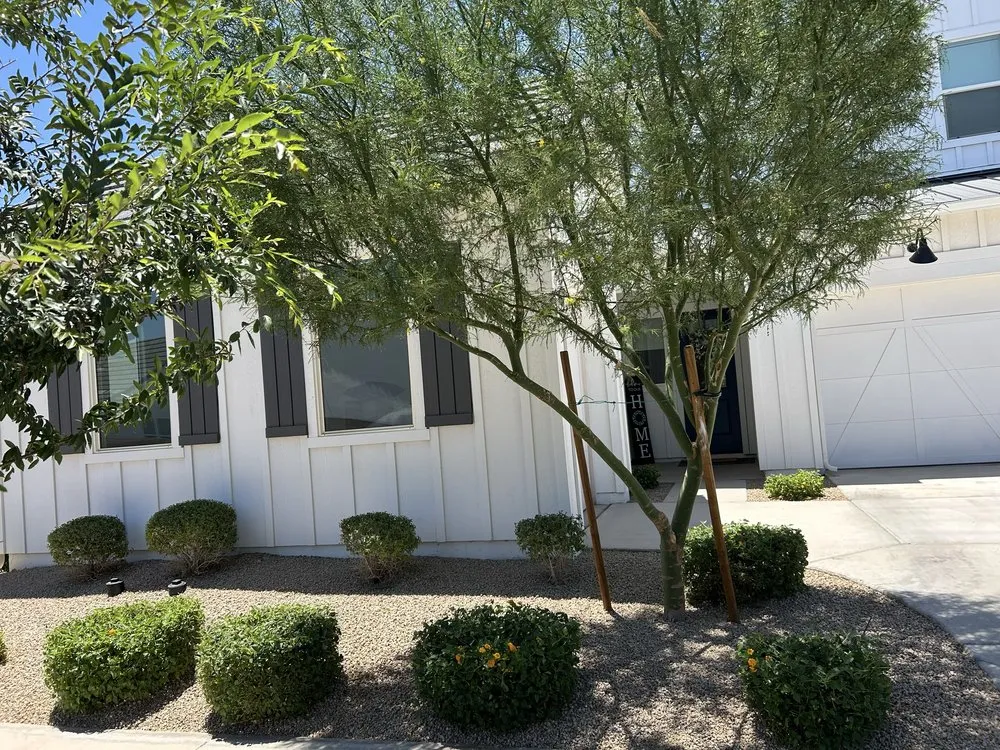 Reliable landscaping services in Apache Junction, AZ - Montoya's Landscaping