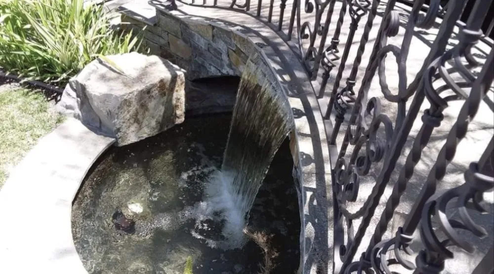 Trusted yard cleanup service experts serving Hollister, CA - Montoya's Landscaping