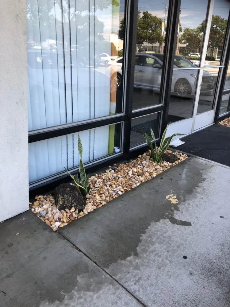 Custom yard cleanup service experts serving Modesto, CA - Montoya's Landscaping