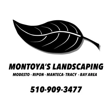 Professional landscape installation in Modesto, CA - Montoya's Landscaping