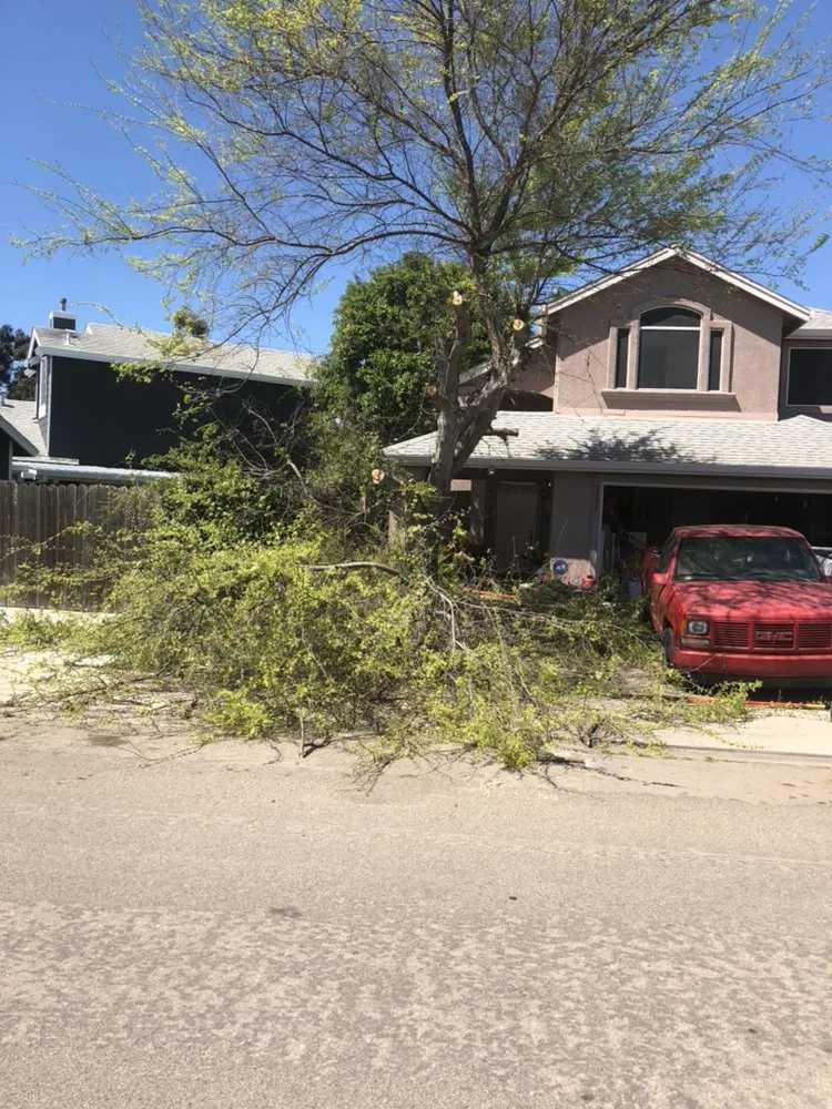 Affordable lawn mowing service in Modesto, CA by Montoya's Landscaping