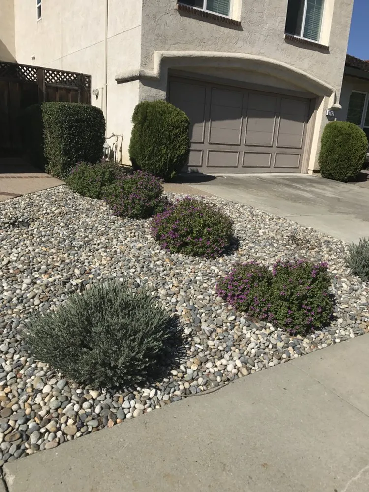Top-rated lawn care service for year-round maintenance in Modesto, CA by Montoya's Landscaping