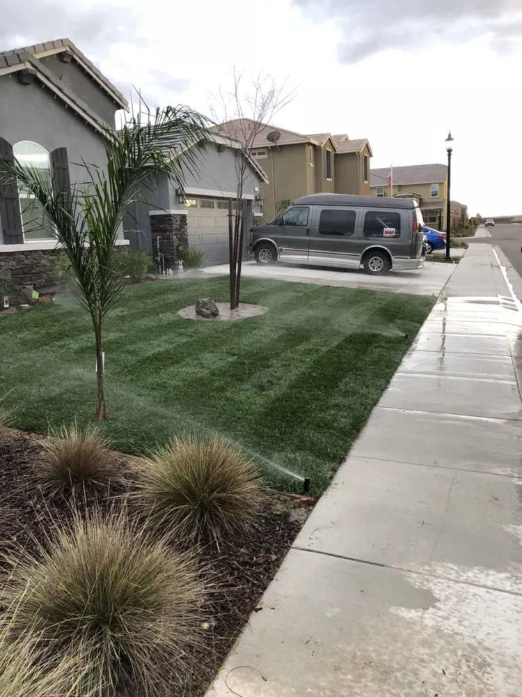 Top-rated yard maintenance in Modesto, CA - Montoya's Landscaping