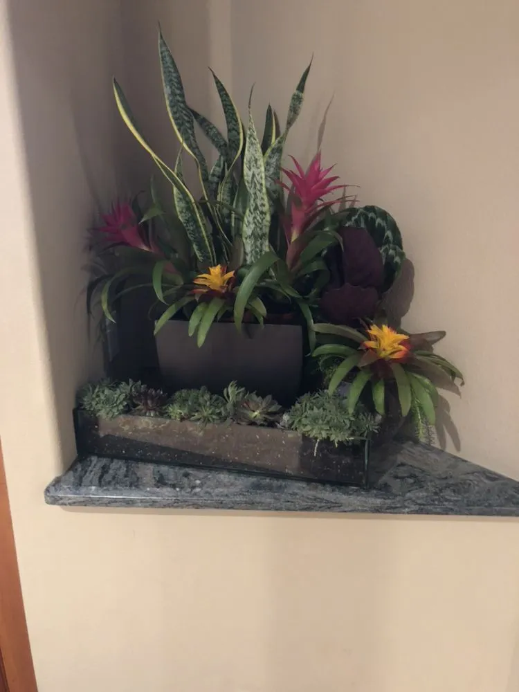 Local residential landscaping in Modesto, CA by Montoya's Landscaping