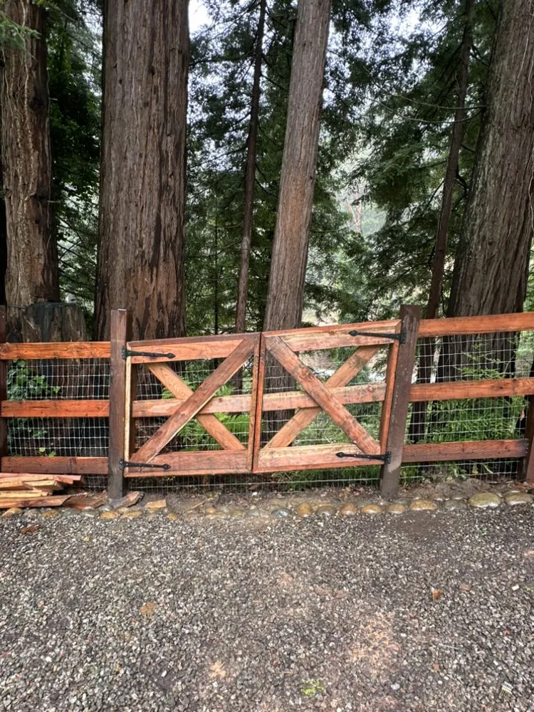 Expert yard cleanup service in San Martin, CA - Montoyas Landscaping