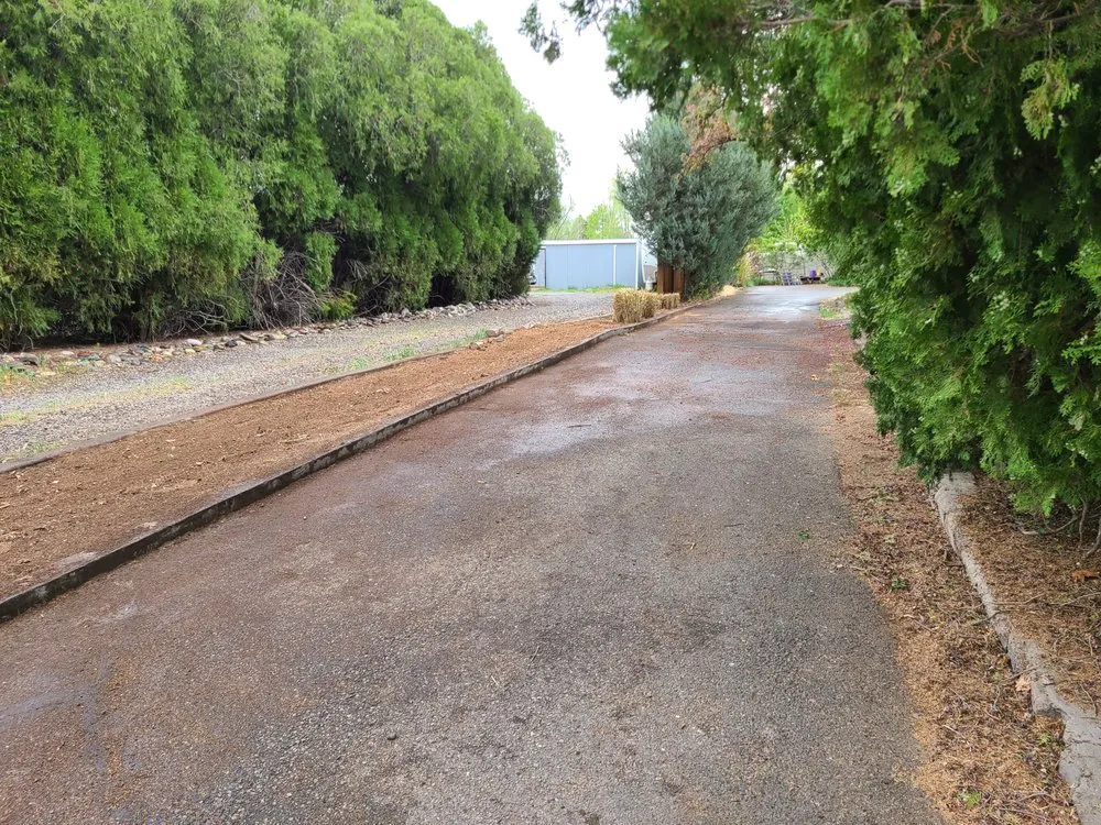 Affordable lawn care service in Clifton, CO by Montoyas Lawn and Landscape