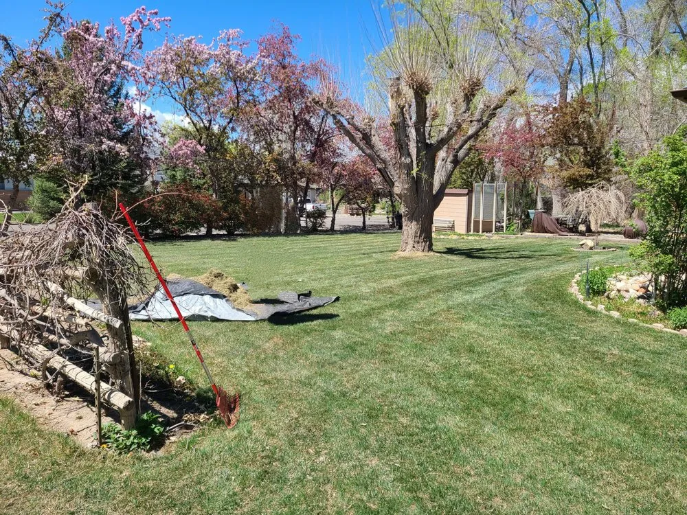 Trusted outdoor landscaping in Clifton, CO - Montoyas Lawn and Landscape