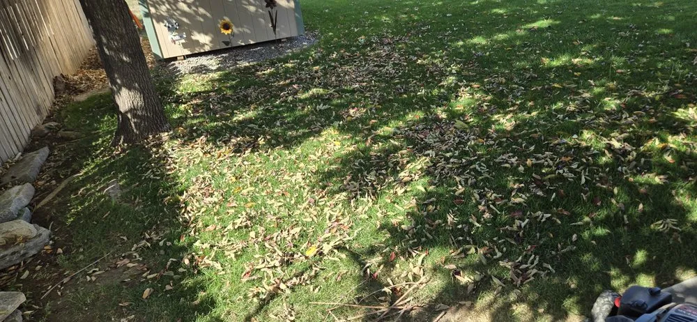 Affordable outdoor landscaping near you across Clifton, CO - Montoyas Lawn and Landscape