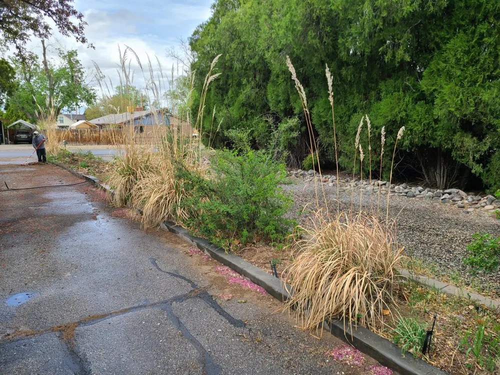 Local landscape design in Clifton, CO - Montoyas Lawn and Landscape