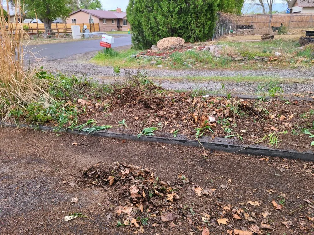 Professional outdoor landscaping for homes across Clifton, CO - Montoyas Lawn and Landscaping