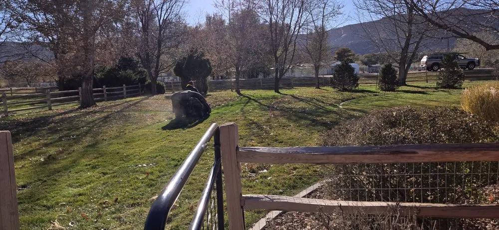 Affordable landscape design for beautiful yards across Clifton, CO - Montoyas Lawn and Landscaping