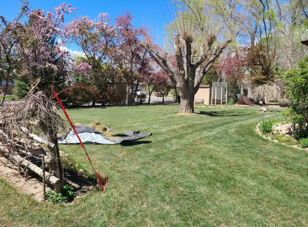 Trusted lawn care service in Clifton, CO by Montoyas Lawn and Landscaping