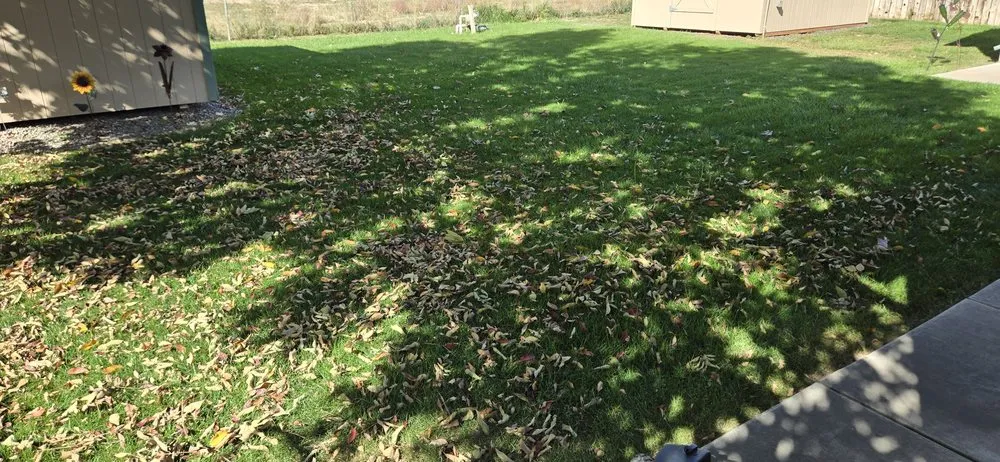 Trusted landscaping services in Clifton, CO - Montoyas Lawn and Landscaping