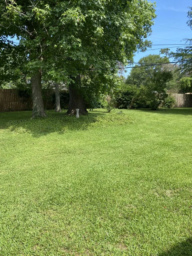 Trusted outdoor landscaping in Vidor, TX - Montoyas Lawn Service
