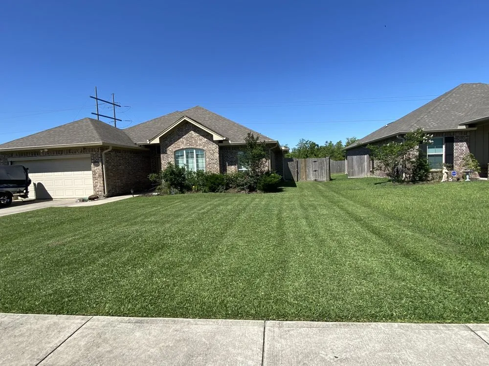 Affordable yard cleanup service experts serving Vidor, TX - Montoyas Lawn Service