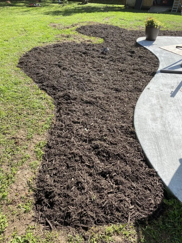 Expert yard cleanup service in Vidor, TX by Montoyas Lawn Service