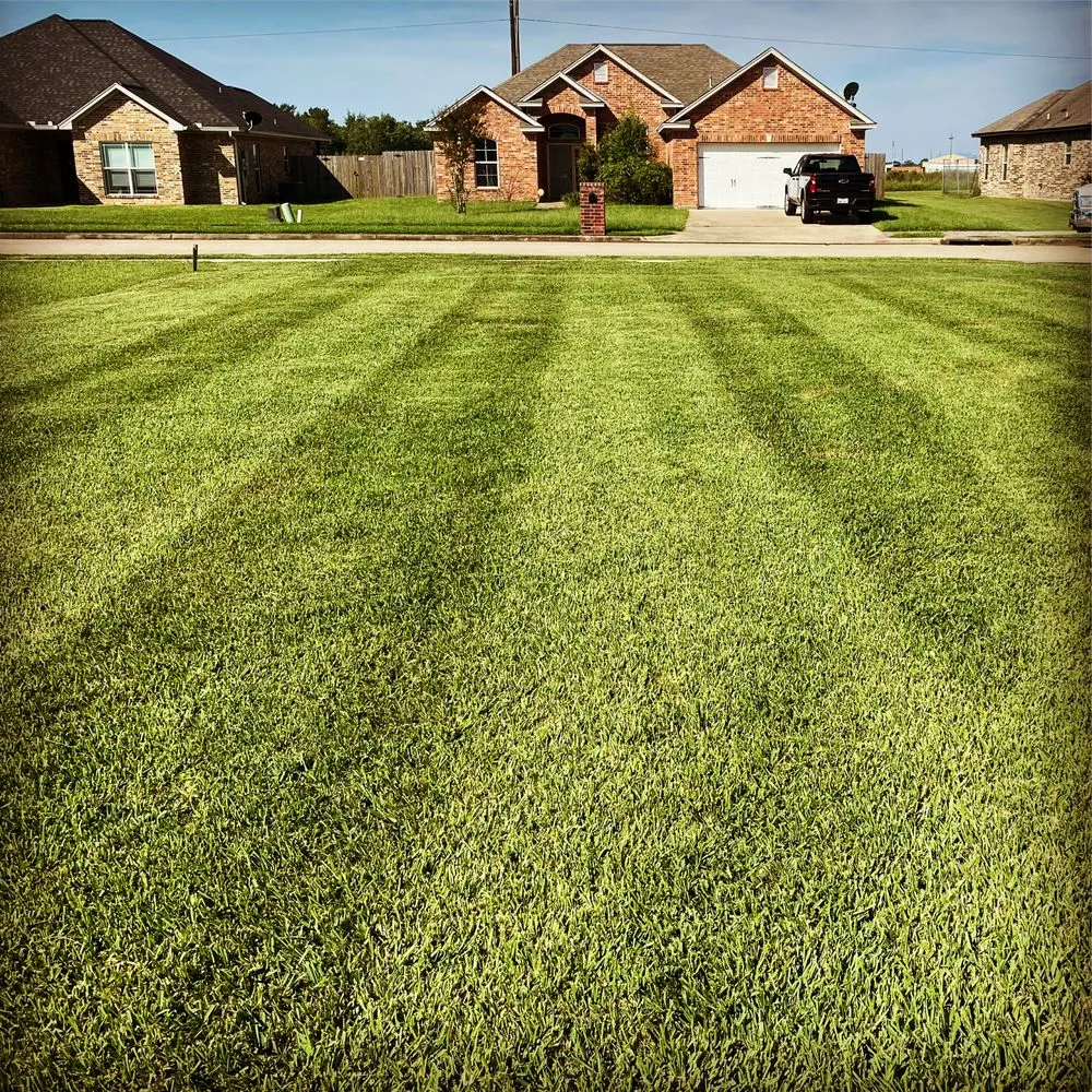 Affordable landscaping services in Vidor, TX - Montoyas Lawn Service