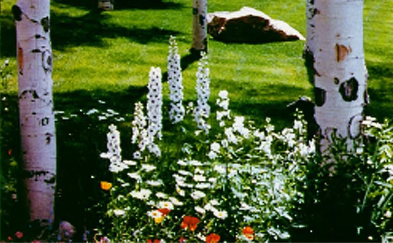 Affordable outdoor landscaping for beautiful yards in Montrose, CO by Montrose Landscape Design