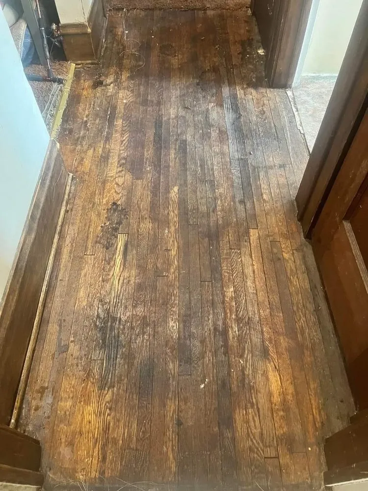 Affordable yard cleanup service in Meadville, PA - Monty's Landscaping and Power washing