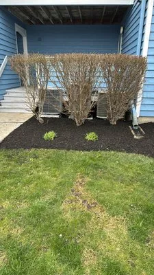 Monty's Landscaping and Power washing