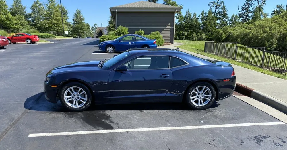 Trusted landscaping services near you in Franklinton, NC by Monty’s Lawn and Pressure Washing