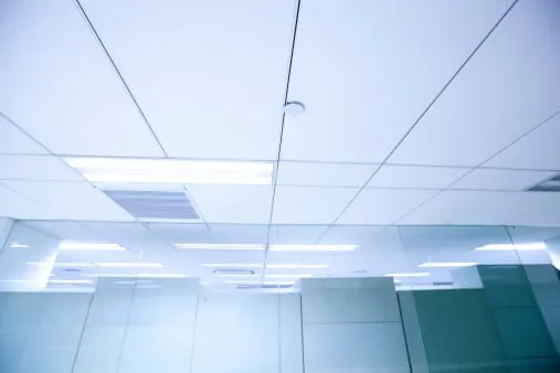 Professional yard cleanup service for beautiful yards across Haymarket, VA - Monument Facility Services