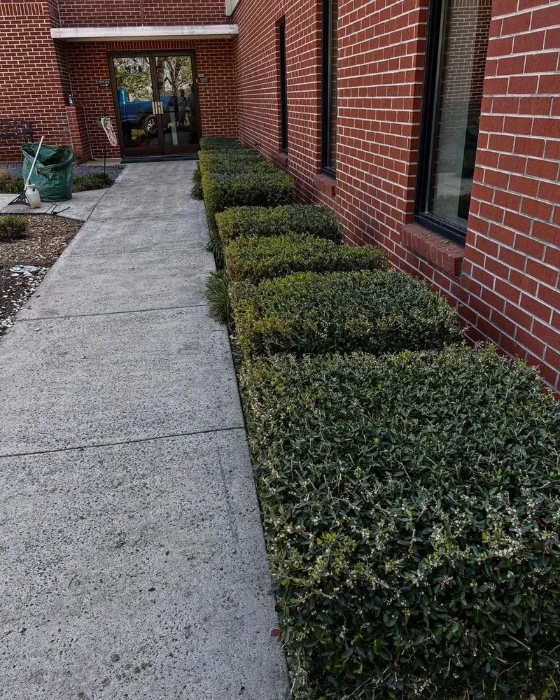 Affordable landscaping services in Chatsworth, GA - Monumental Mowing