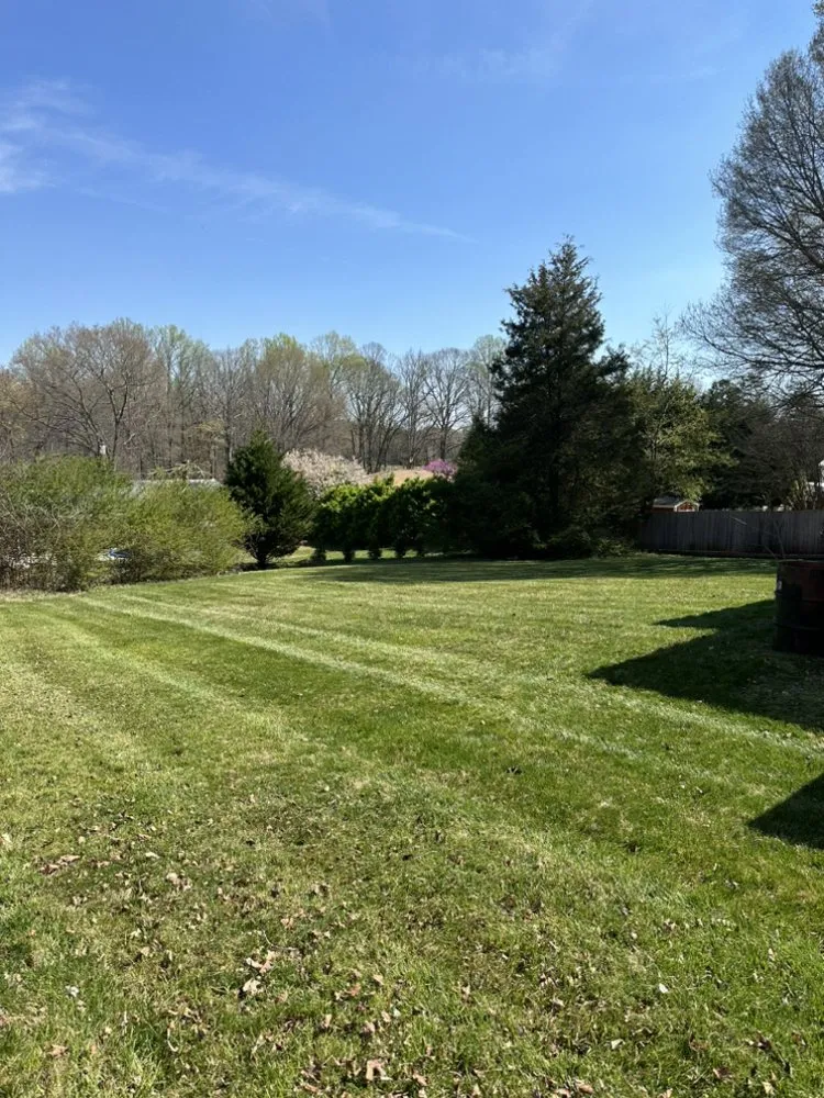 Top-rated landscape installation experts serving Morganton, NC - Monzon Landscape