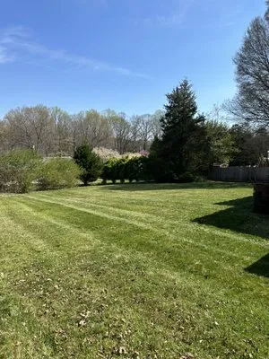 Monzon Landscape Logo